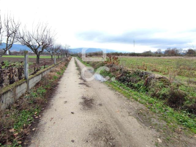 Terreno Agricola com bons acessos