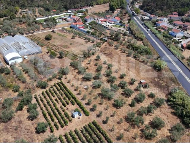 Terreno Agrícola com Estufas Preparadas para Produção em Hidroponia | Condeixa a Nova
