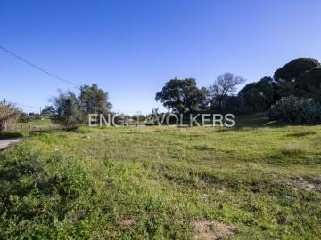 Terreno Agrícola com parcela destacada para construção
