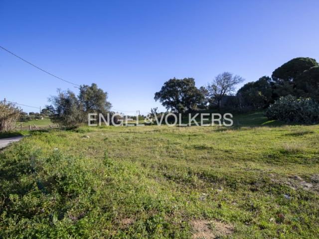 Terreno Agrícola com parcela destacada para construção