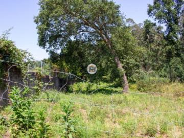 Terreno Agrícola com Potencial em Grijó 8.509 m²