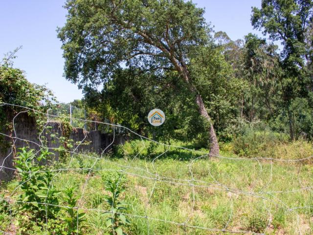 Terreno Agrícola com Potencial em Grijó – 8.509 m²
