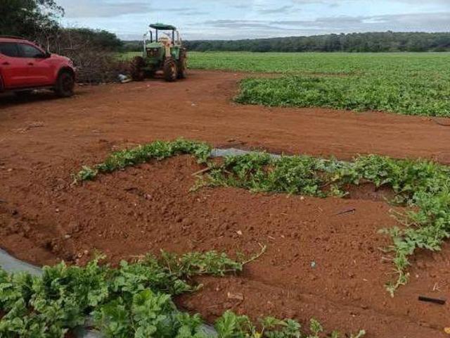 Terreno para agricultura y siembra agricola