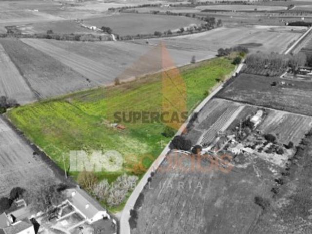 Terreno Agrícola de Excelência com 4,58 Ha em Alpiarça Alta Produtividade
