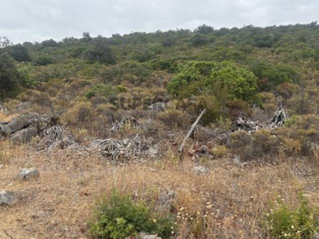 Terreno Agrícola de 10.900 m² entre Salir e Tôr, Algarve
