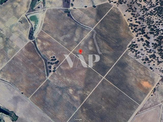 Terreno agrícola de 215ha, Vendas Novas Évora