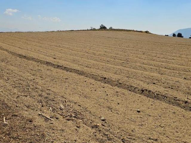 Terreno agrícola de 4.5 Hectáreas en Calimaya, Estado de México, escriturado. 4