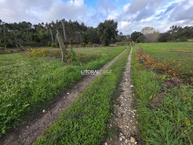 Terreno Agrícola Eixo