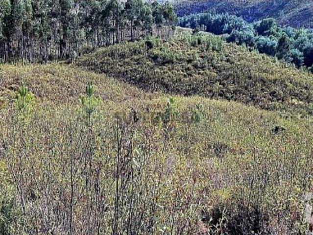 Terreno Agrícola em Mação, Penhascoso e Aboboreira