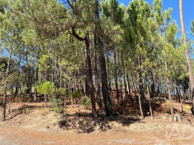 Terreno Agrícola em Mação, Penhascoso e Aboboreira
