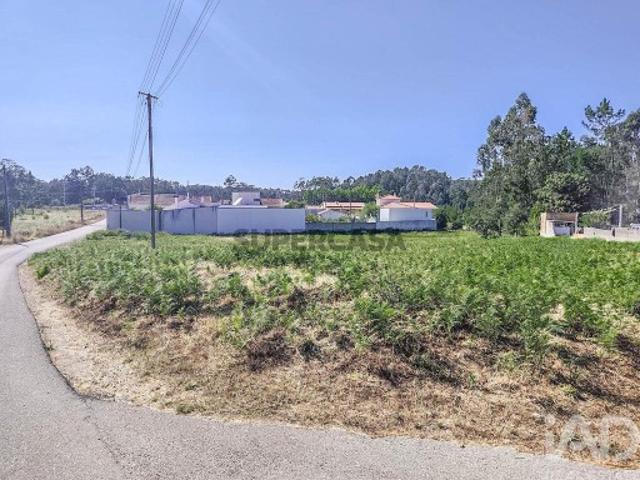 Terreno Agrícola em Maceira