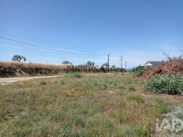 Terreno Agrícola em Madalena e Beselga