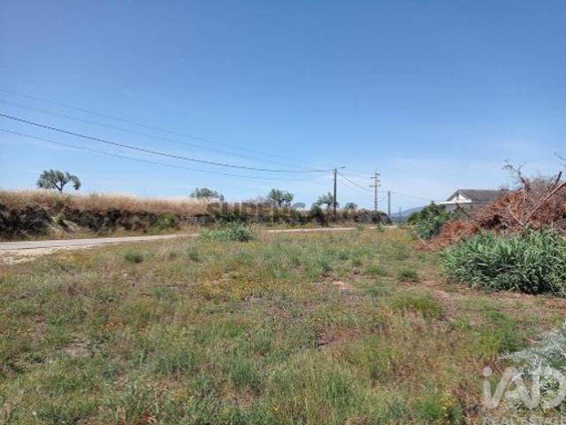 Terreno Agrícola em Madalena e Beselga