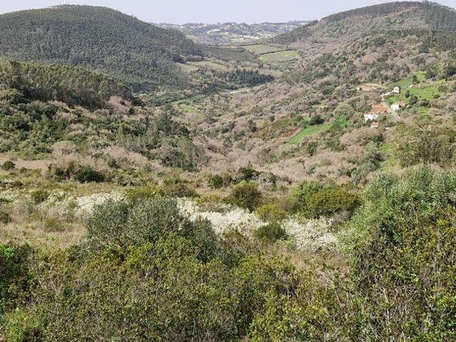 Terreno Agrícola em Mafra