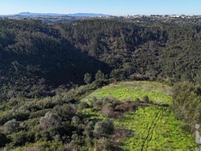 Terreno Agrícola em Mafra