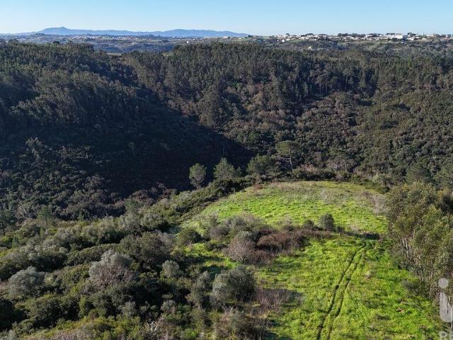 Terreno Agrícola em Mafra