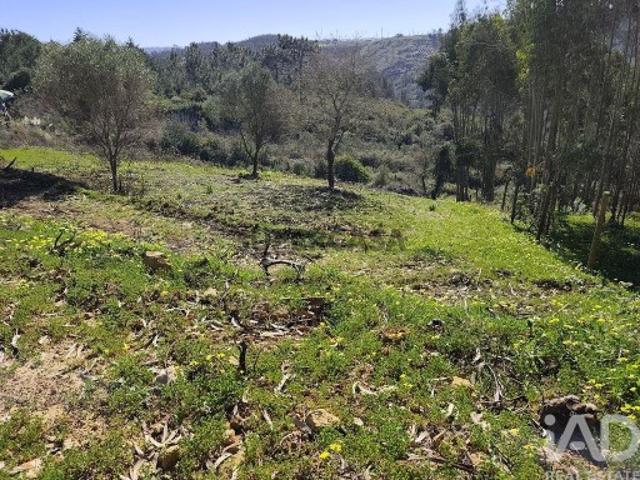 Terreno Agrícola em Mafra