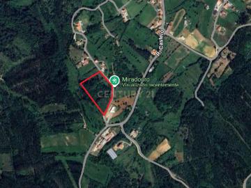 Terreno agrícola em Maiorca, Figueira da Foz