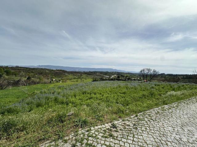 Terreno Agrícola em Mangualde, Mesquitela e Cunha Alta