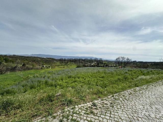 Terreno Agrícola em Mangualde, Mesquitela e Cunha Alta