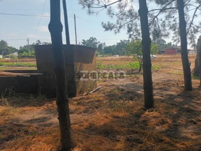 Terreno Agricola em Moita Vaqueira Arazede
