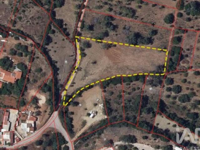 Terreno Agrícola em Moncarapacho e Fuseta