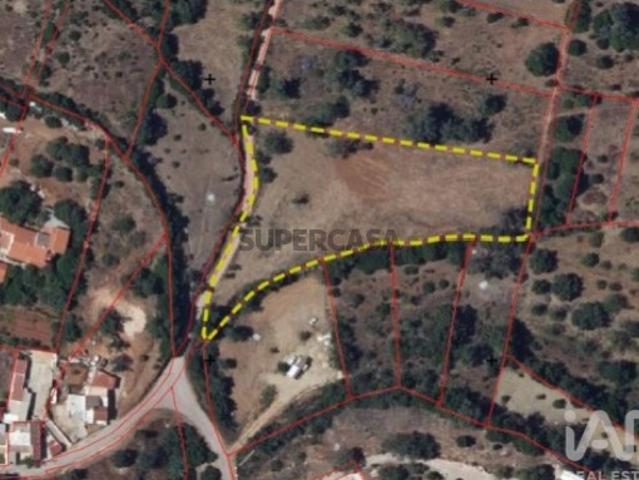 Terreno Agrícola em Moncarapacho e Fuseta