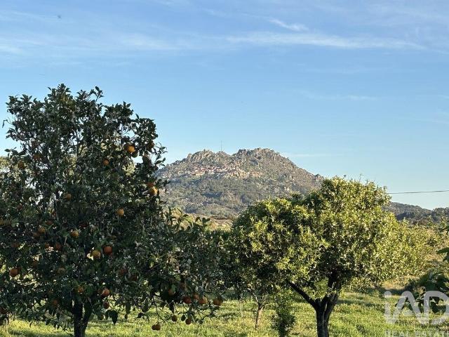 Terreno Agrícola em Monsanto e Idanha a Velha