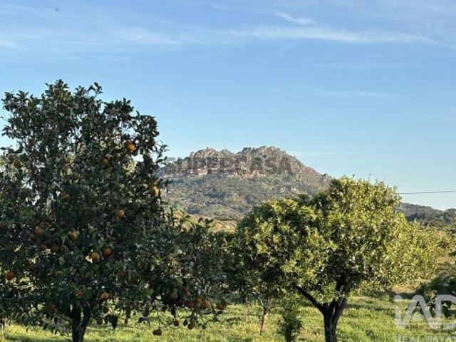 Terreno Agrícola em Monsanto e Idanha a Velha