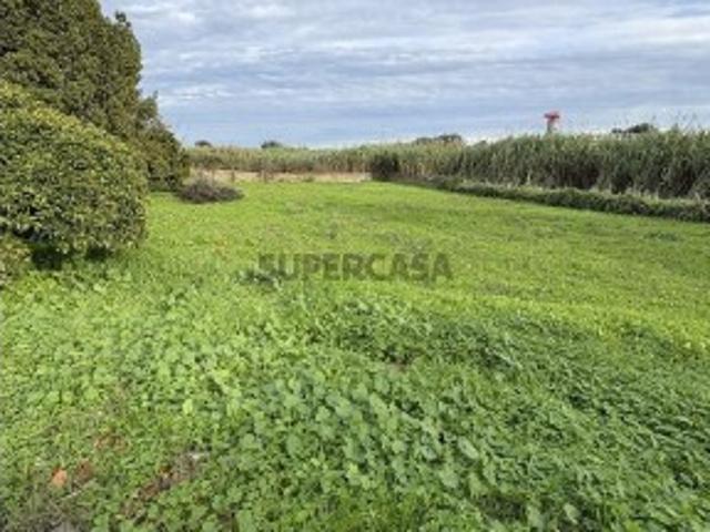 Terreno Agrícola em Montijo e Afonsoeiro