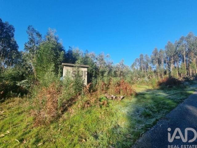 Terreno Agrícola em Mortágua, Vale de Remígio, Cortegaça e Almaça