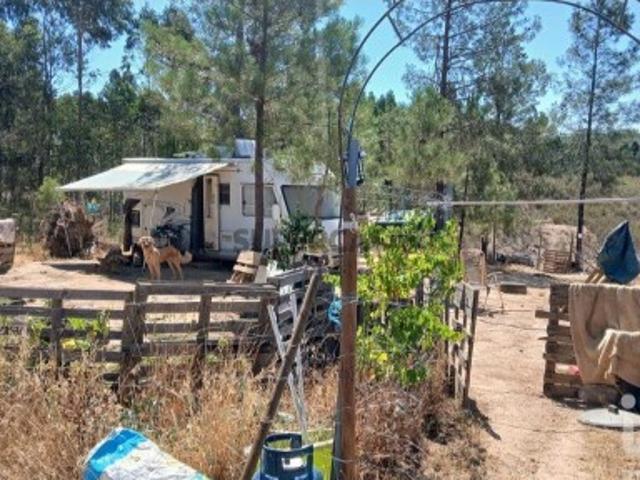 Terreno Agrícola em Ninho do Açor e Sobral do Campo