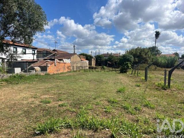Terreno Agrícola em Ovar, São João, Arada e São Vicente de Pereira Jusã