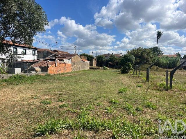 Terreno Agrícola em Ovar, São João, Arada e São Vicente de Pereira Jusã
