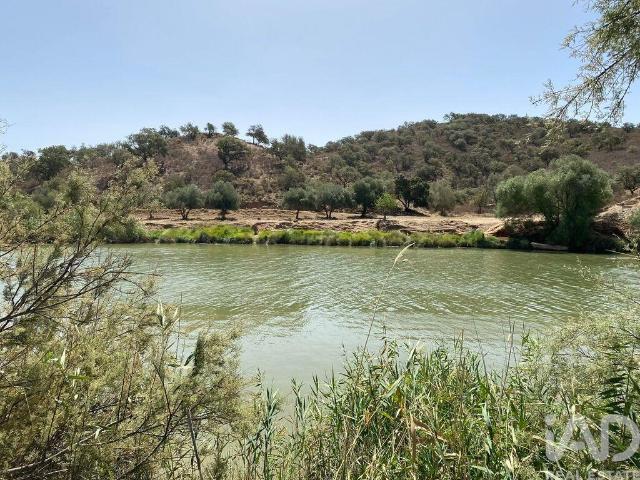 Terreno Agrícola em Odeleite