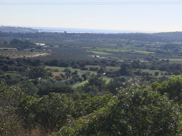 Terreno Agrícola em Odiáxere