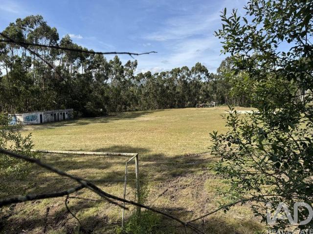 Terreno Agrícola em Olhalvo