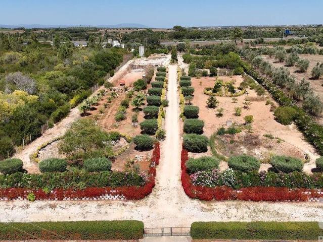 Terreno Agrícola em Azambujeira e Malaqueijo