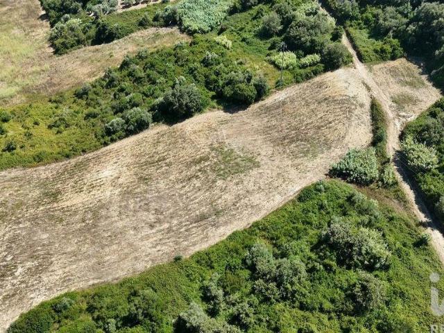 Terreno Agrícola em Azambujeira e Malaqueijo