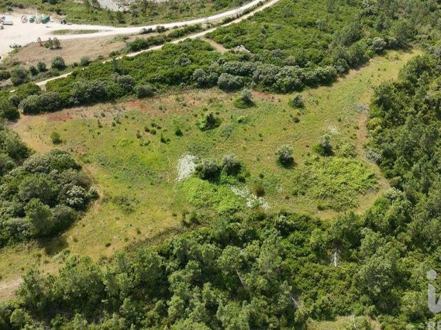 Terreno Agrícola em Azambujeira e Malaqueijo