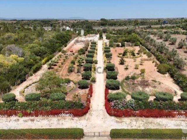 Terreno Agrícola em Azambujeira e Malaqueijo