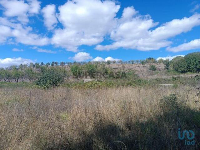 Terreno Agrícola em Azinhoso de 2874,00 m²