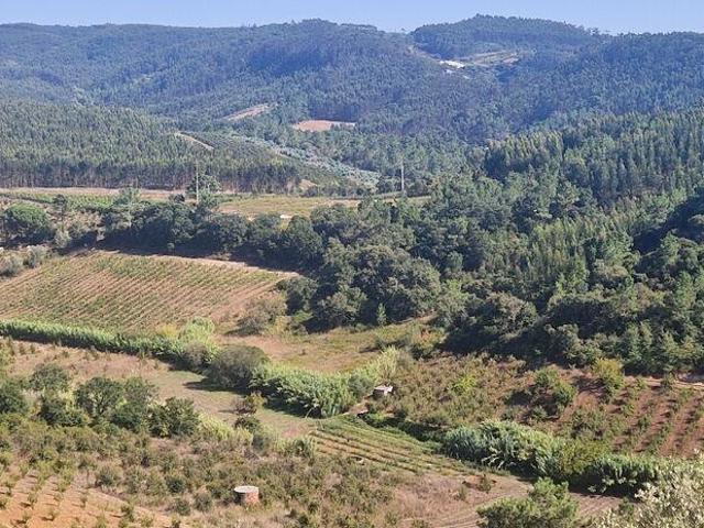 Terreno Agrícola em Azueira e Sobral da Abelheira