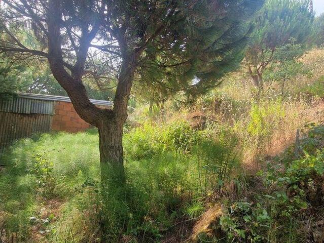 Terreno Agrícola em Azueira e Sobral da Abelheira
