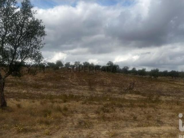 Terreno Agrícola em Abela