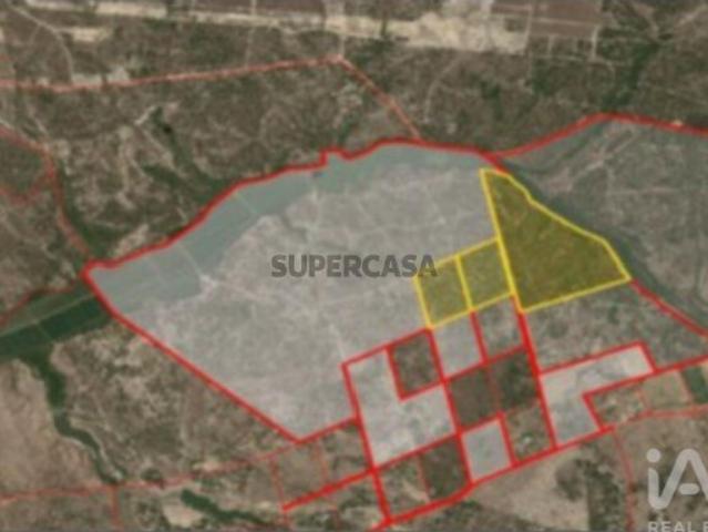 Terreno Agrícola em Alcochete