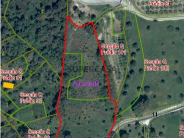 Terreno Agrícola em Alcanede