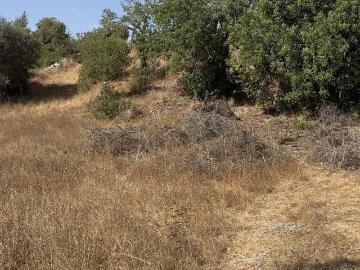 Terreno Agrícola em Algoz e Tunes