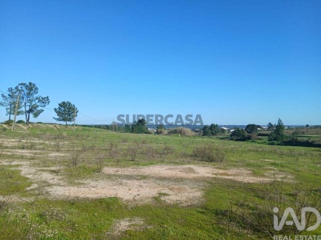 Terreno Agrícola em Almeirim