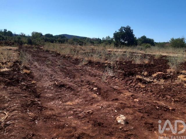 Terreno Agrícola em Alte
